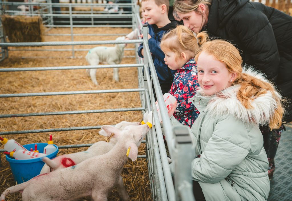 Looking for fun things to do with kids in Staffordshire? Here are some of the best family days out, from outdoor adventures to animal attractions.